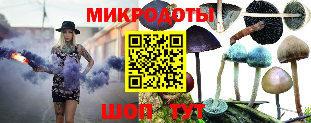 Галлюциногенные грибы Cubensis Ангарск
